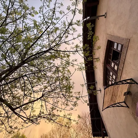 Albergue&cafetería Vía De La Plata Hostal *